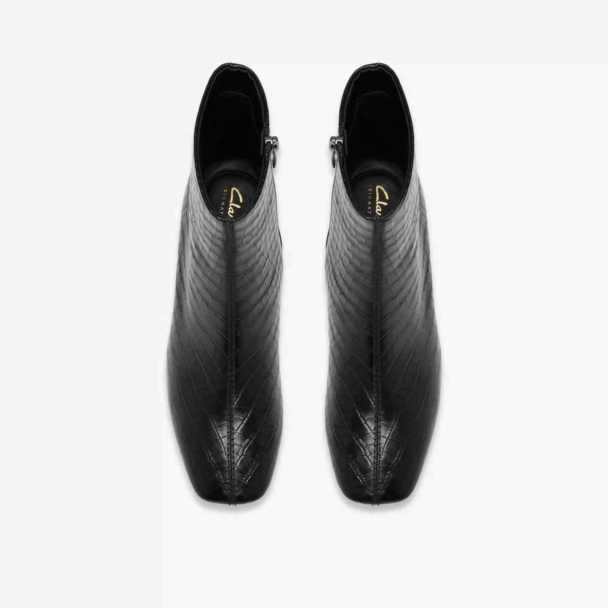 Fernie Zip