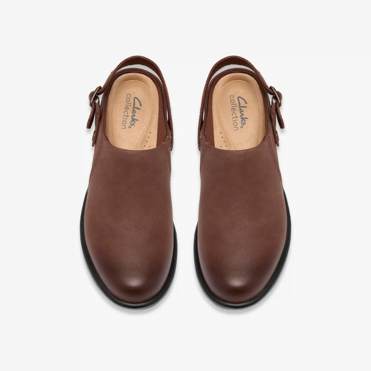 Kynnzie Mule